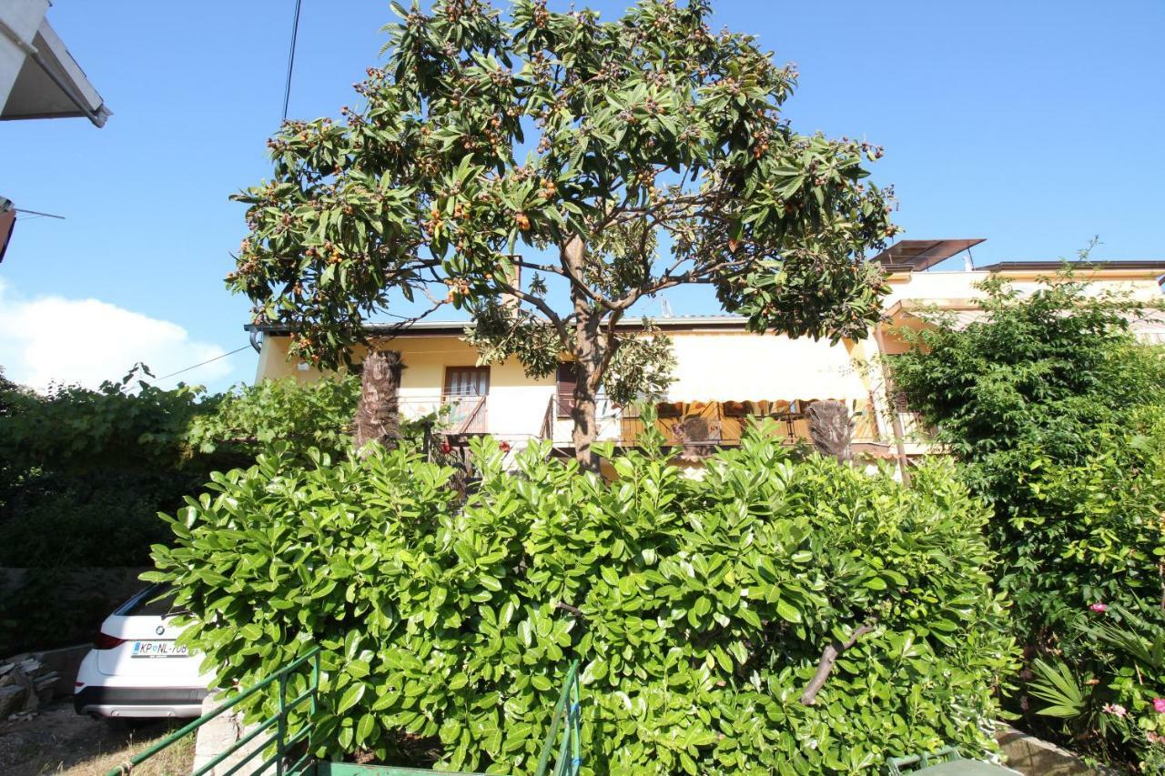 Apartment Agnese โรวีน ภายนอก รูปภาพ